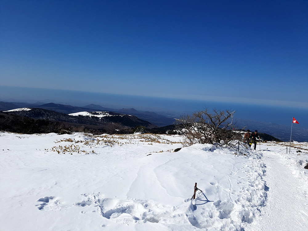 20170215_132830.jpg