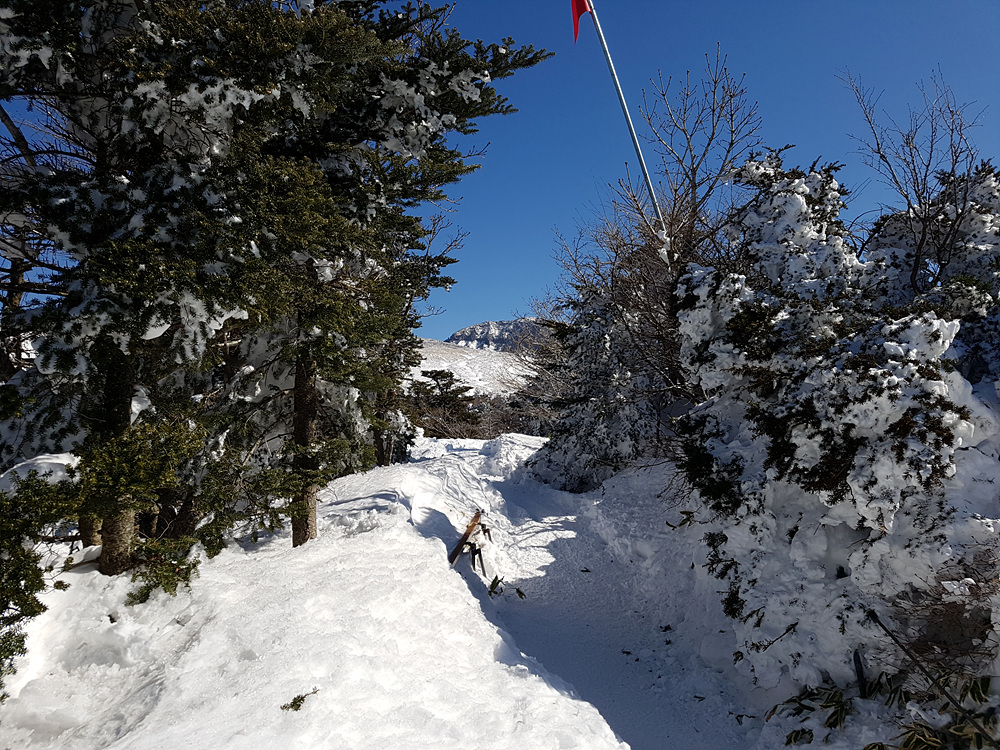 20170215_133922.jpg