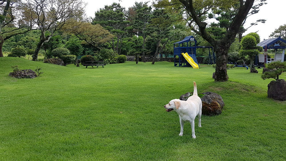 20170702_150157.jpg