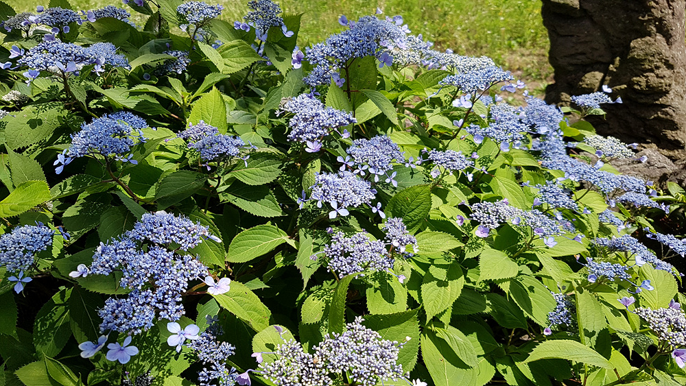 20170702_150304.jpg