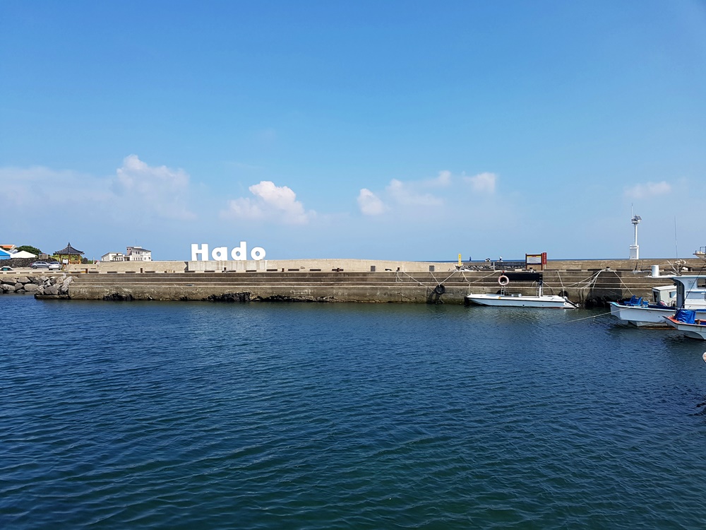 20160815_100551.jpg