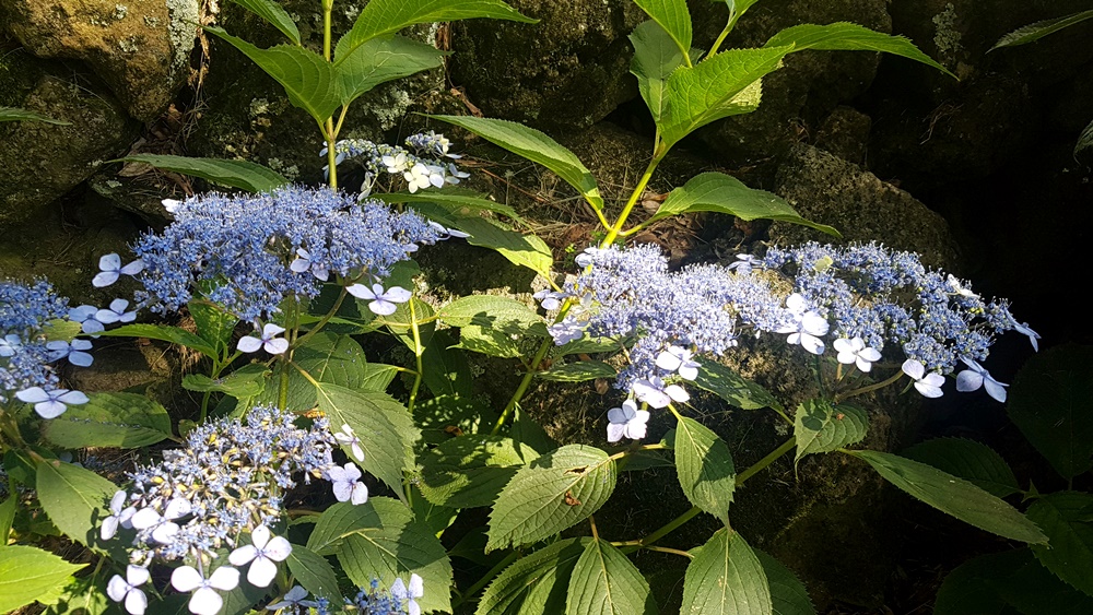 20180614_160208.jpg