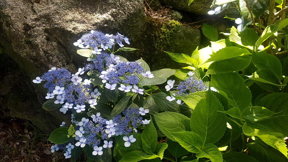 20180616_104307.jpg
